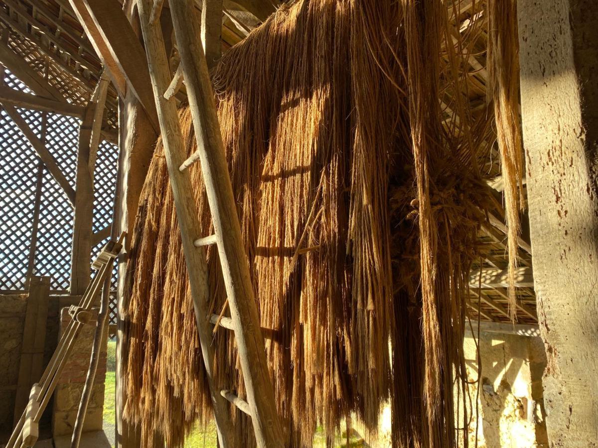 La Maison De Manon Mirande  Exterior foto